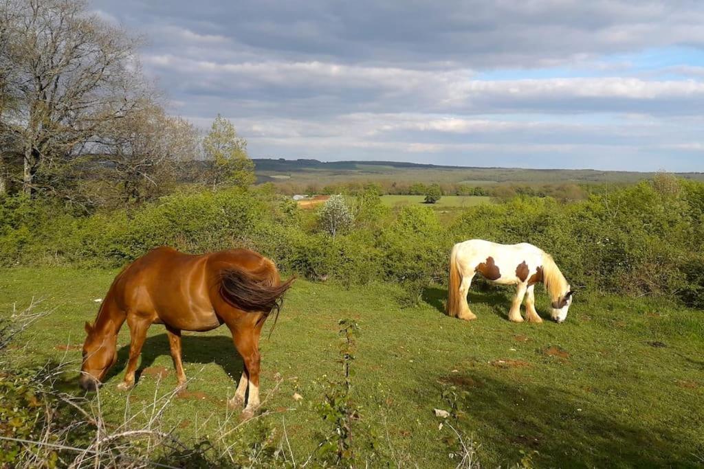 Maison De Bois En Pleine Nature A 20 Min De Beaune Montceau-et-Echarnant Kültér fotó