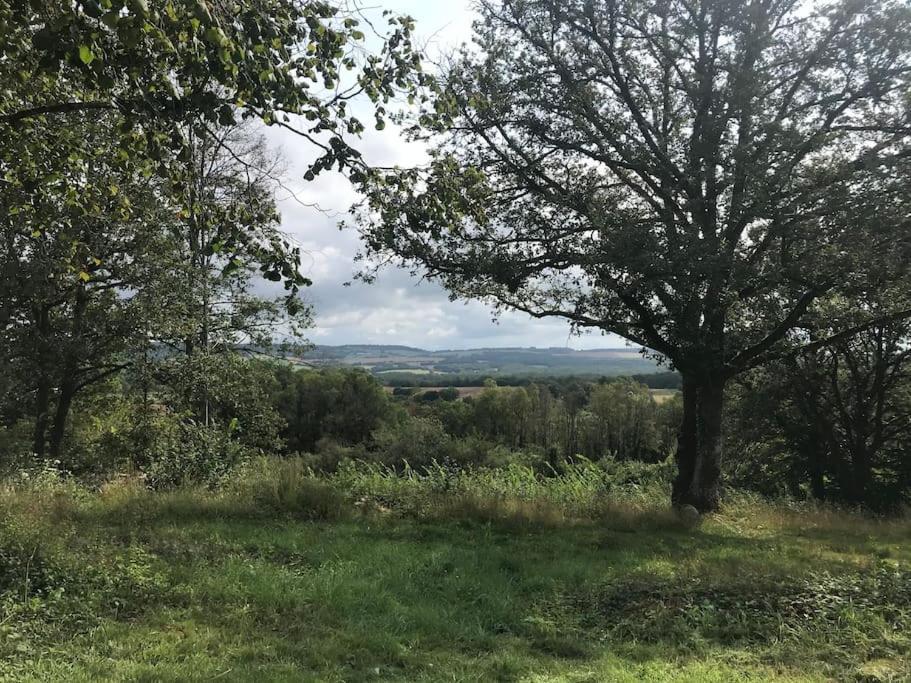Maison De Bois En Pleine Nature A 20 Min De Beaune Montceau-et-Echarnant Kültér fotó